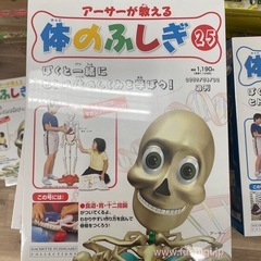 体のふしぎ、おしゃべりガイコツ　の画像