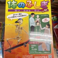 体のふしぎ、おしゃべりガイコツ　の画像