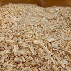 格安【200Lおがくず】袋持参1000円引き　木くず　小動物　マット ふわふわの画像