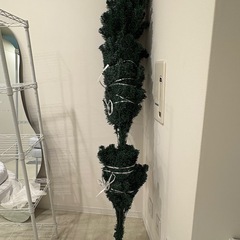 クリスマスツリーの画像