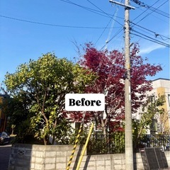 【最短即日完結🌲】伐採.伐根.剪定お任せください🫡"無料"…