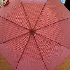 「12月9日処分予定」折り畳み傘の画像