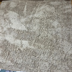 シャギーラグの画像