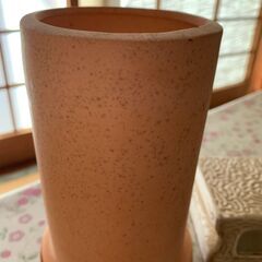 観賞魚の隠れ家の画像