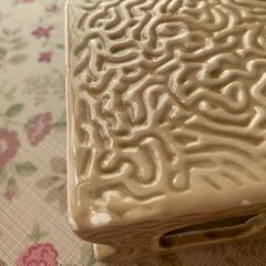 観賞魚の隠れ家の画像