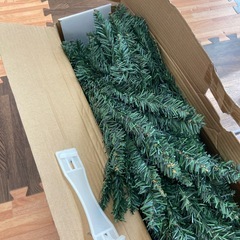 クリスマスツリーの画像