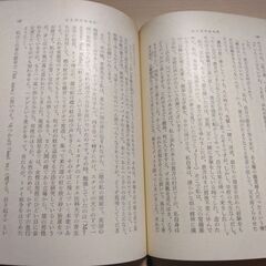 『山と川のある町』石坂洋次郎　新潮文庫の画像