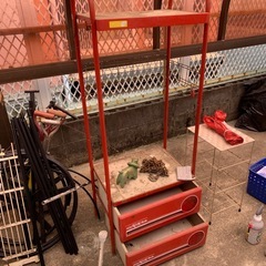 お話し中ですの画像