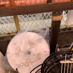 お話し中ですの画像