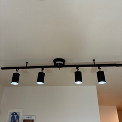 ダクトレール照明①の画像