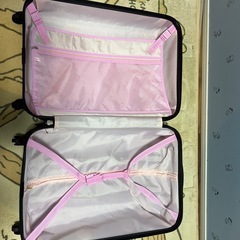 キャリーの画像