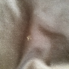 キッズ　KIDS(男女兼用)ワイドワークジョガーパンツの画像