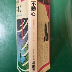 尾関宗園　不動心の画像