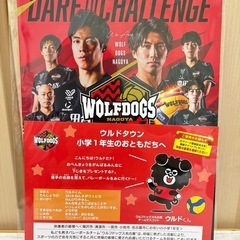 新品未使用✨ウルフドッグス名古屋 下敷き バレーボール❁¨̮の画像