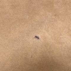 リラックスフォーム RELAXFORM 3人掛けソファ コーデュロイ調 キャメル クッション付 北欧風 おしゃれ リビング用　【糸島市内 送料無料】112901-1-035の画像