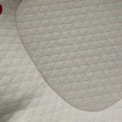 吐き戻し防止　ロトトクッションの画像