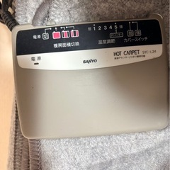 ホットカーペットの画像