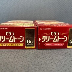 ビゲン 白髪染め 5G・6Gの画像