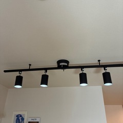 ダクトレール照明②12月26日引渡しの画像