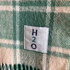 パーソンズ⭐︎緑　チェックマフラーの画像