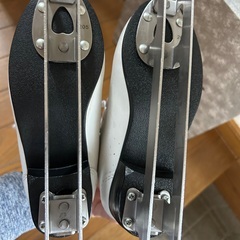 スケートシューズ二枚刃の画像