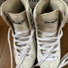 スケートシューズ二枚刃の画像