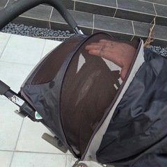 Joie ベビーカー  バギーの画像