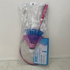 ジャンボバドミントンの画像