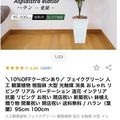 セット売りの方優先 ハラン 観葉植物の画像