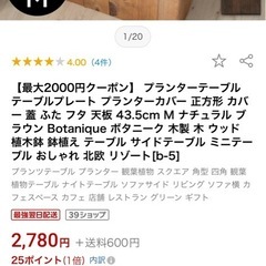 セット売りの方優先 ハラン 観葉植物の画像