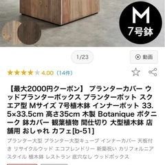 セット売りの方優先 ハラン 観葉植物の画像