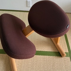 バランスイージーの中古が安い！激安で譲ります・無料であげます