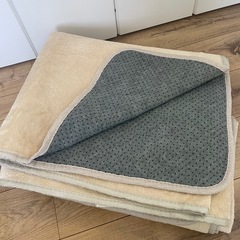 ラグ　250×200 アイボリー系の画像