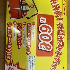 ボストンバッグ　取説あり　Sストラップ未使用　2WAYの画像