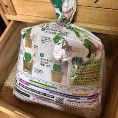 サボテン、多肉植物の土の画像