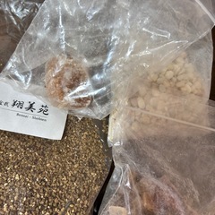 テラリウム用の土と石セットの画像