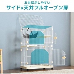 猫 ゲージの画像