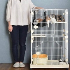 猫 ゲージの画像