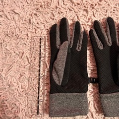 グレー ブラック レディース手袋 約22cm 3日間使用の画像