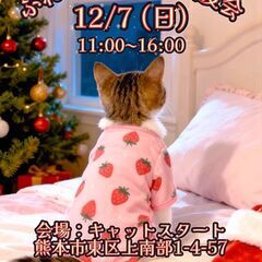 Cat 🐾Start（キャットスタート）💕🐱保護猫ふれあい…