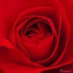 シニアカラオケ友達募集！！