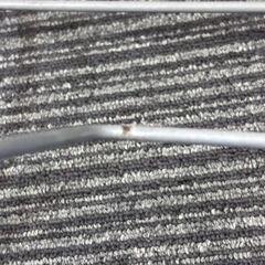 ニトリ NITORI スリッパラック シルバー 金属製の画像