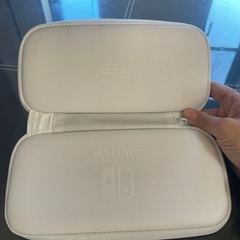 Switchライト専用ケースの画像