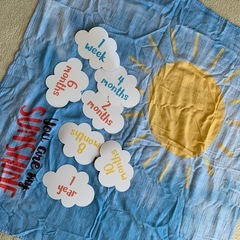 Baby's First Year ブランケットとカードセットの画像