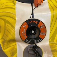 ジーレイインフレサップの画像