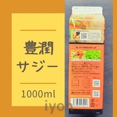 フィネス　豊潤サジー　1000ml  【賞味期限 26.2.2】の画像