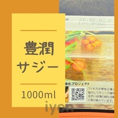 フィネス　豊潤サジー　1000ml  【賞味期限 26.2.2】の画像