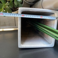 陶器鉢，プランター支柱，鉢の画像