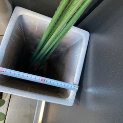 陶器鉢，プランター支柱，鉢の画像