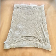 ニトリ　シングル　洗濯可　そのまま使える　掛け布団　毛布の画像